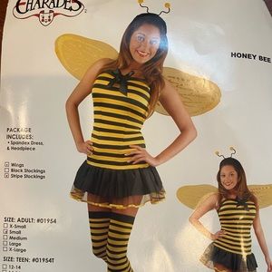 Adult Women’s Sexy Bee Halloween Costume.